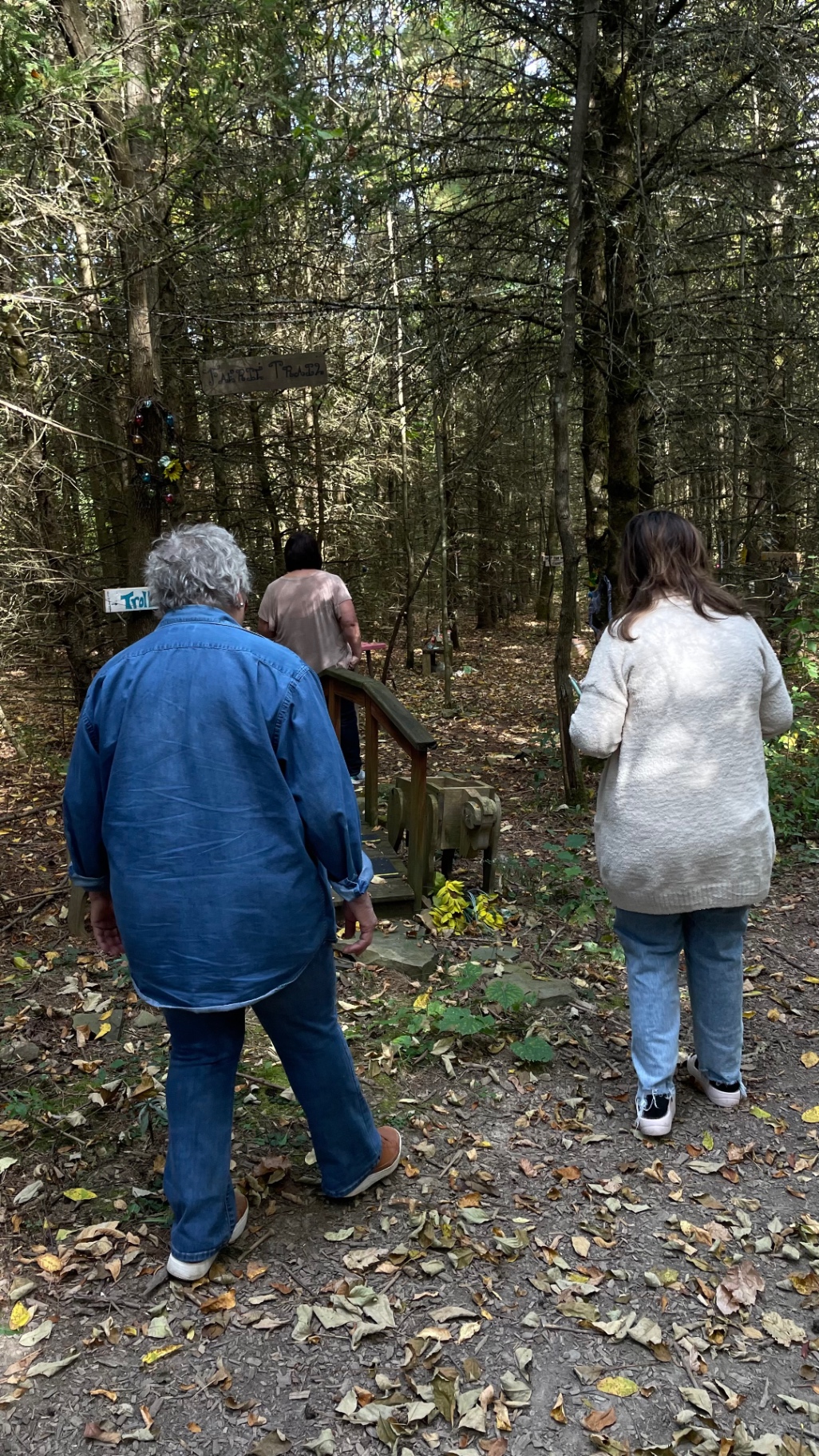 Women walking the forest trail together