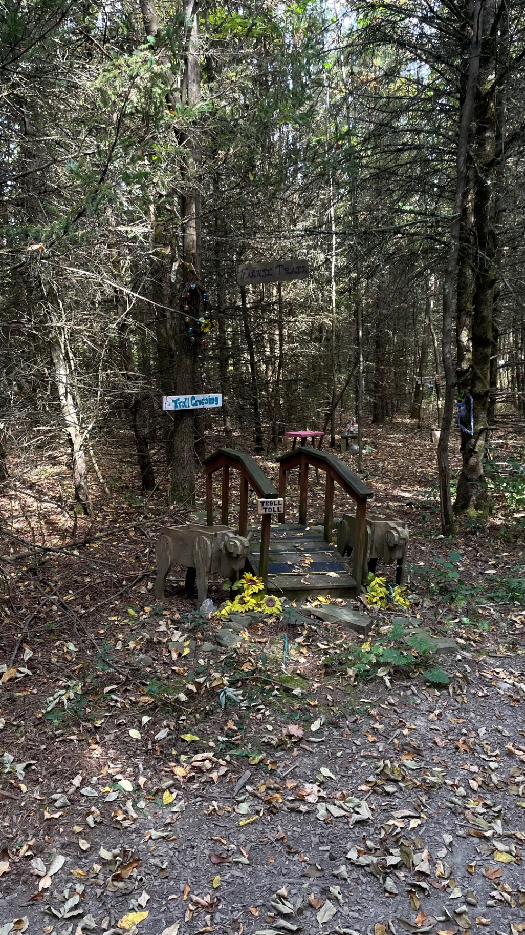 Whimsical troll bridge on the forest trail